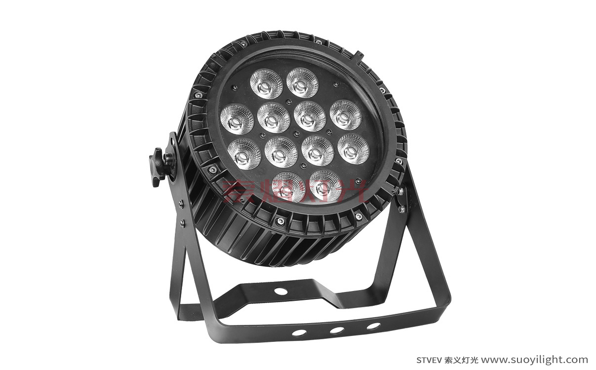 Canada12*12W 6 in 1 Waterproof LED Par Light wholesale