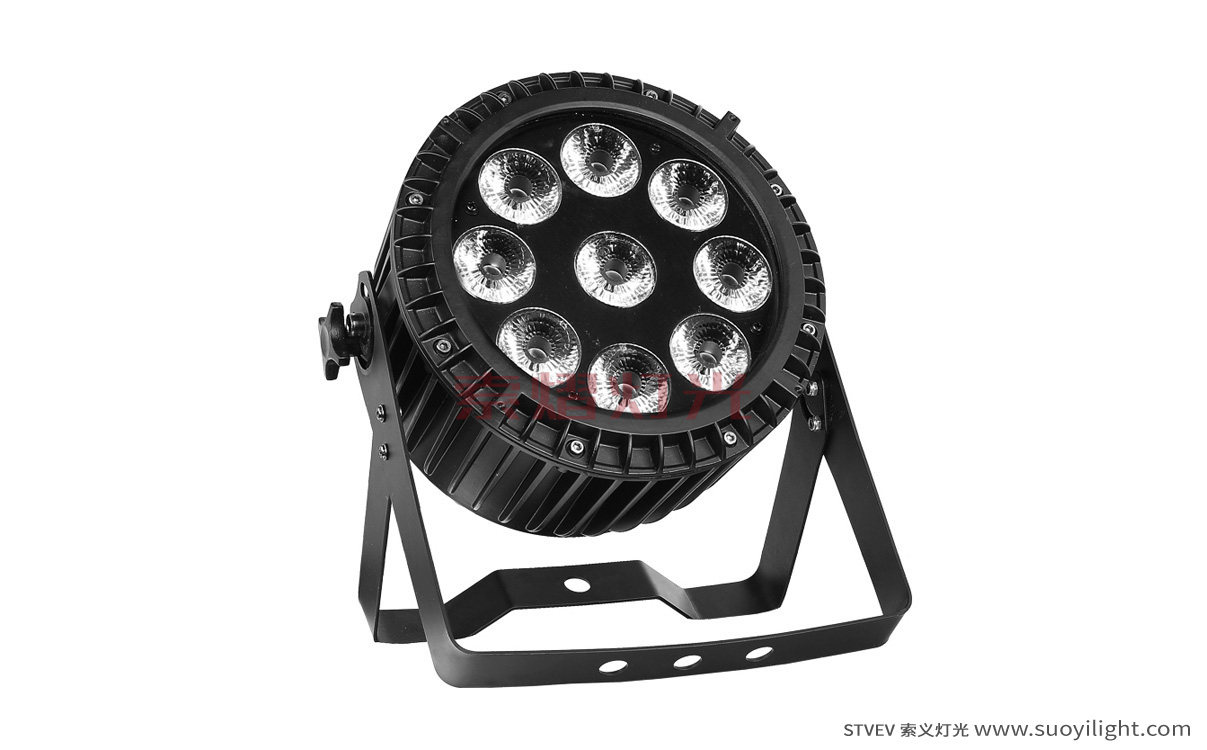 Canada9*12W 4 in 1 Waterproof LED Par Light