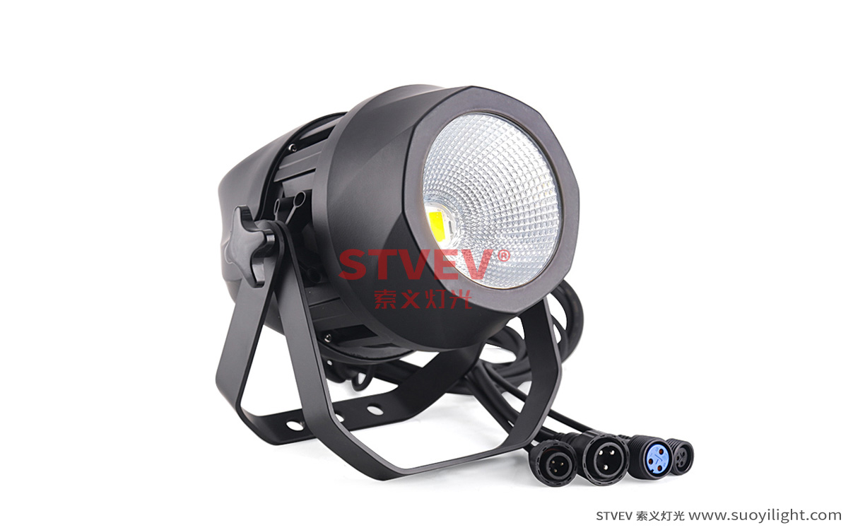 Canada200W Waterproof COB Par Light wholesale