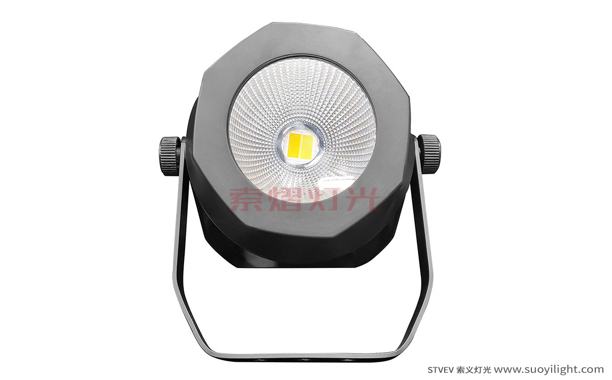 Canada200W Waterproof COB Par Light